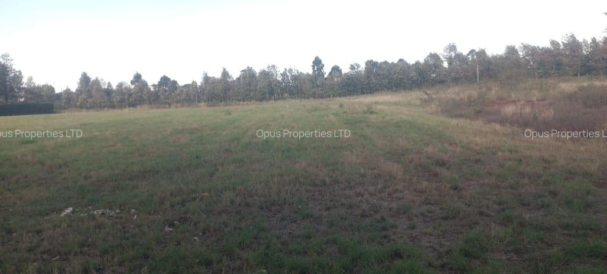 Land in Ngong Road - 1