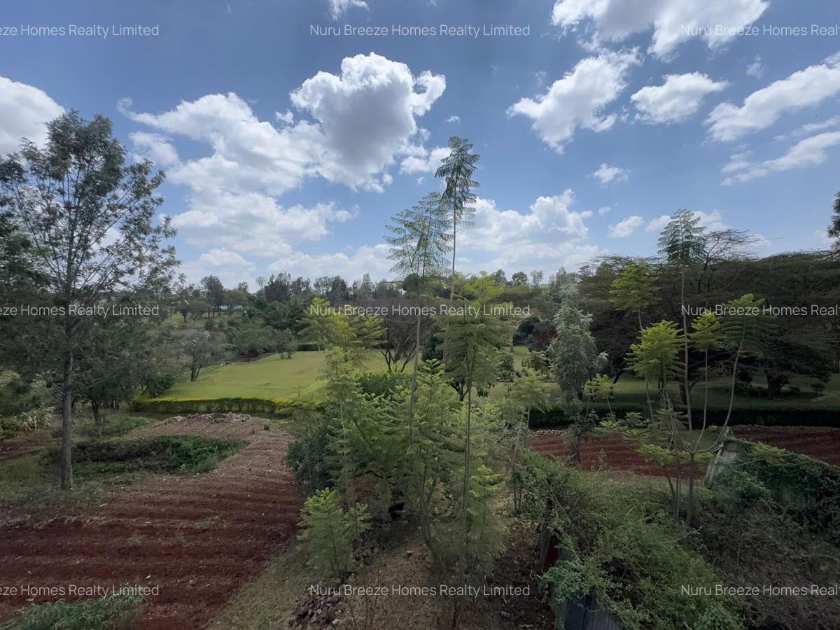 4 ac Land in Karen - 5