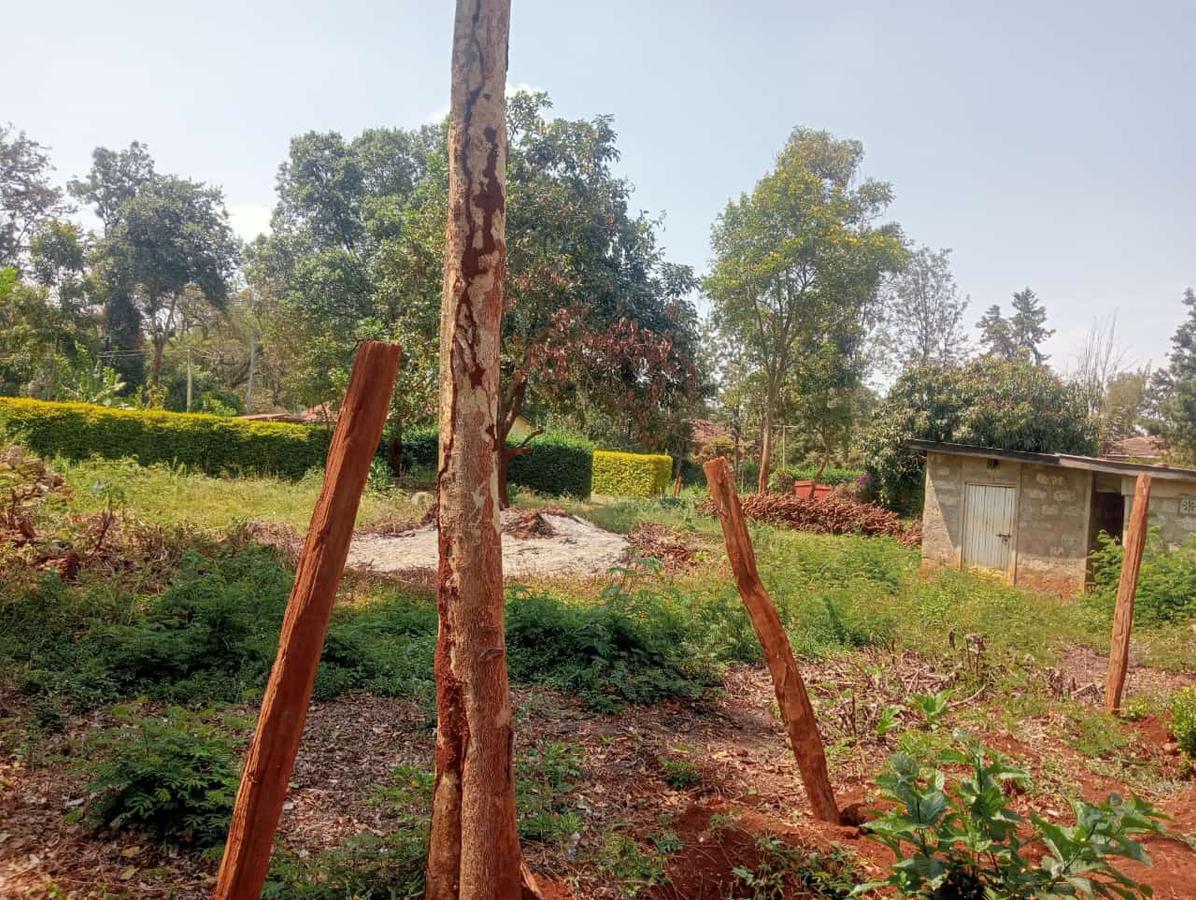 Commercial Land at Kugeria Estate - 4