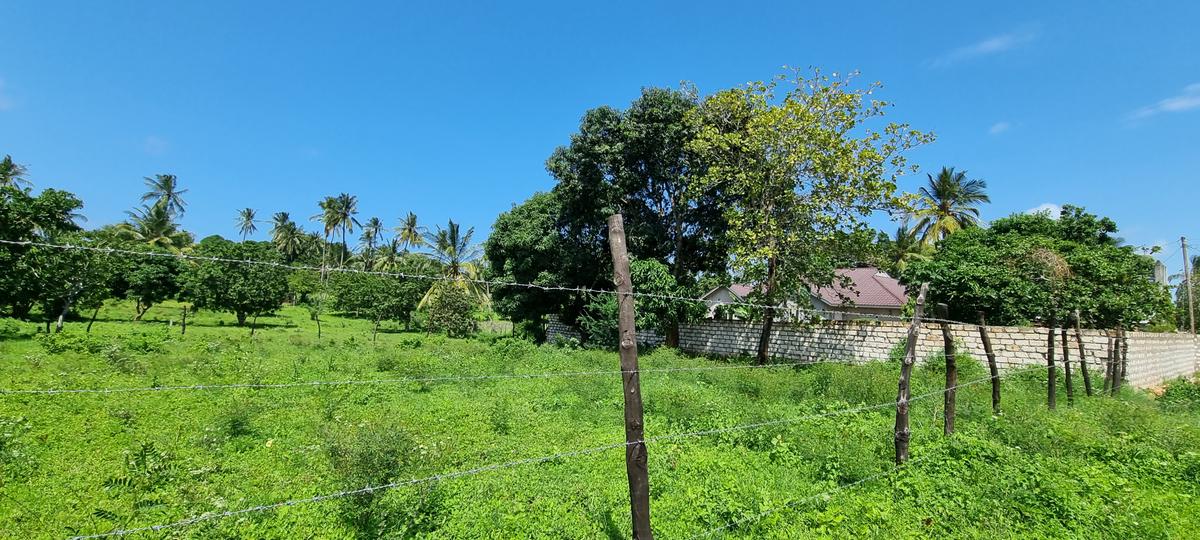 500 ft² Land at Kanamai - 7