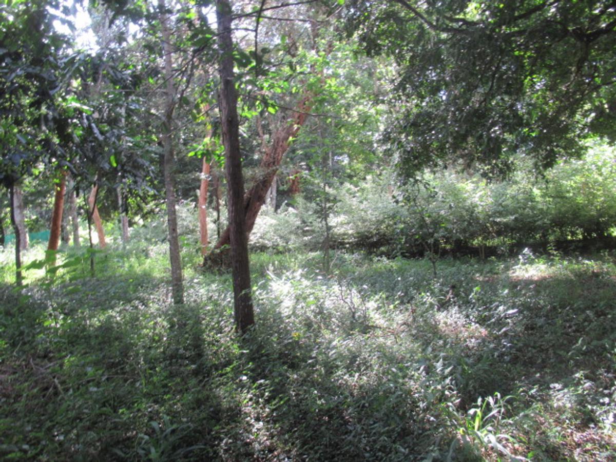 Residential Land at Mwitu Estate - 14