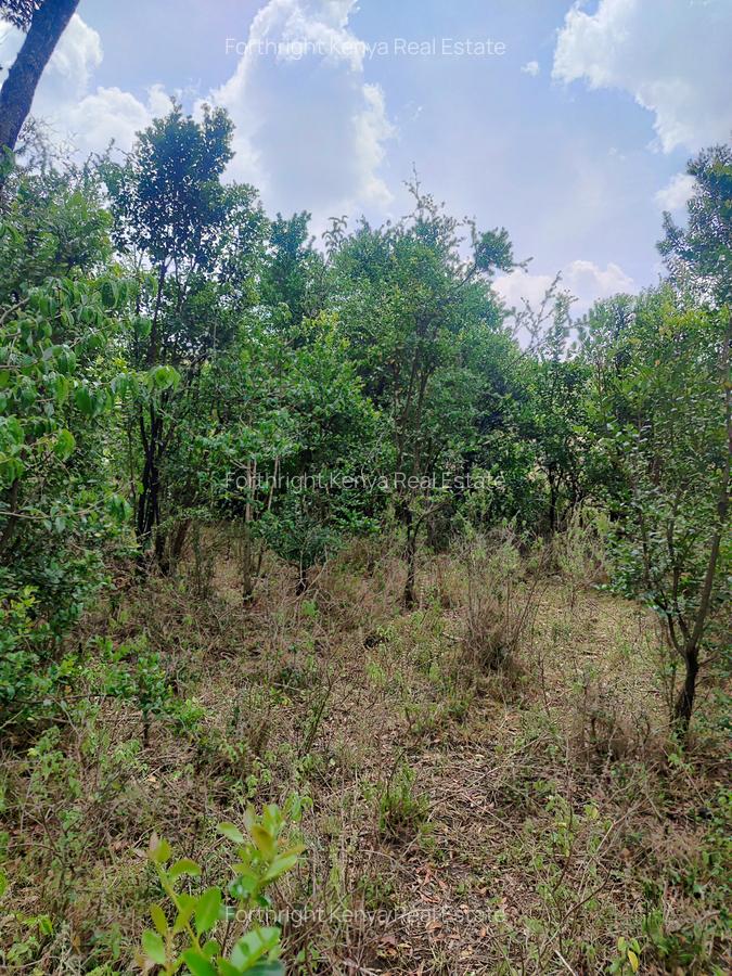 Residential Land at Hardy - 15