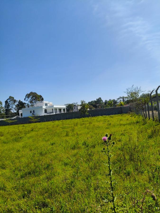 Residential Land at Marula Road - 5