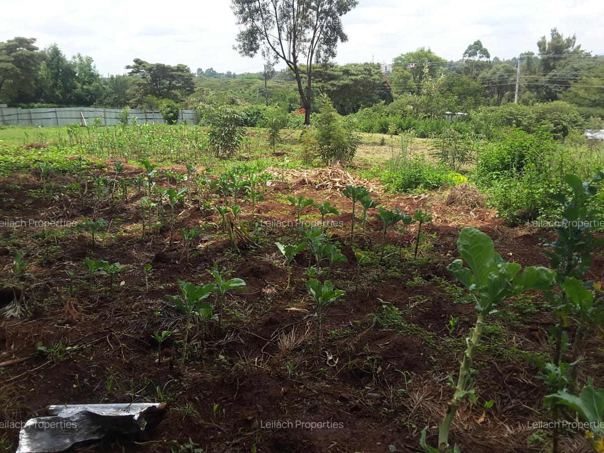 1 ac Land in Karen - 8