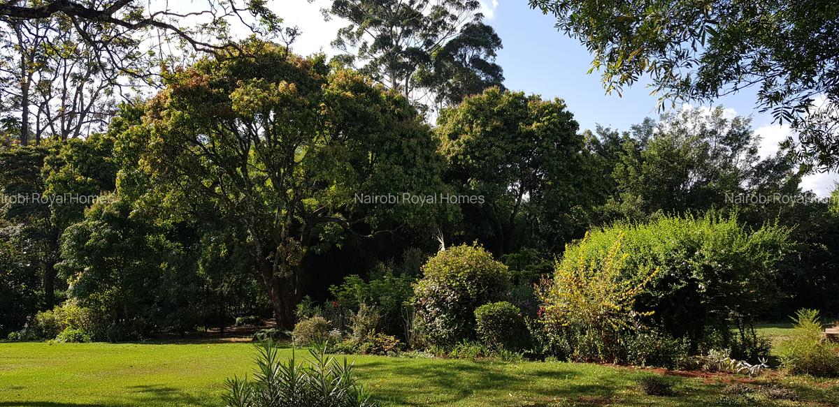 Commercial Land at Kabasiran Road - 9