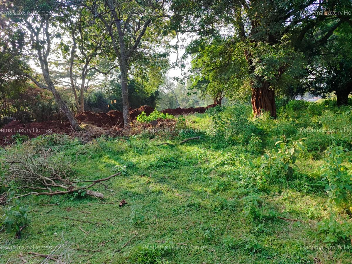 Residential Land at Karen - 10