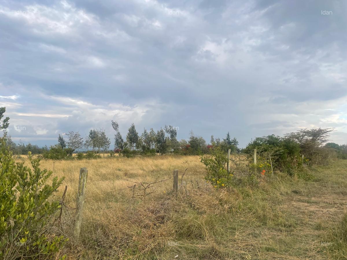 0.5 ac Land in Nanyuki - 2