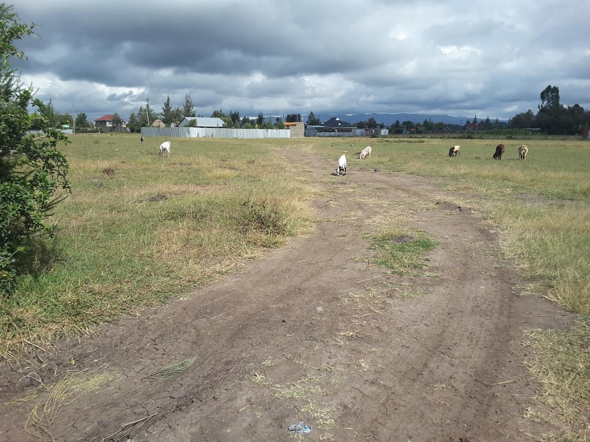 1 ac Residential Land in Ongata Rongai - 5