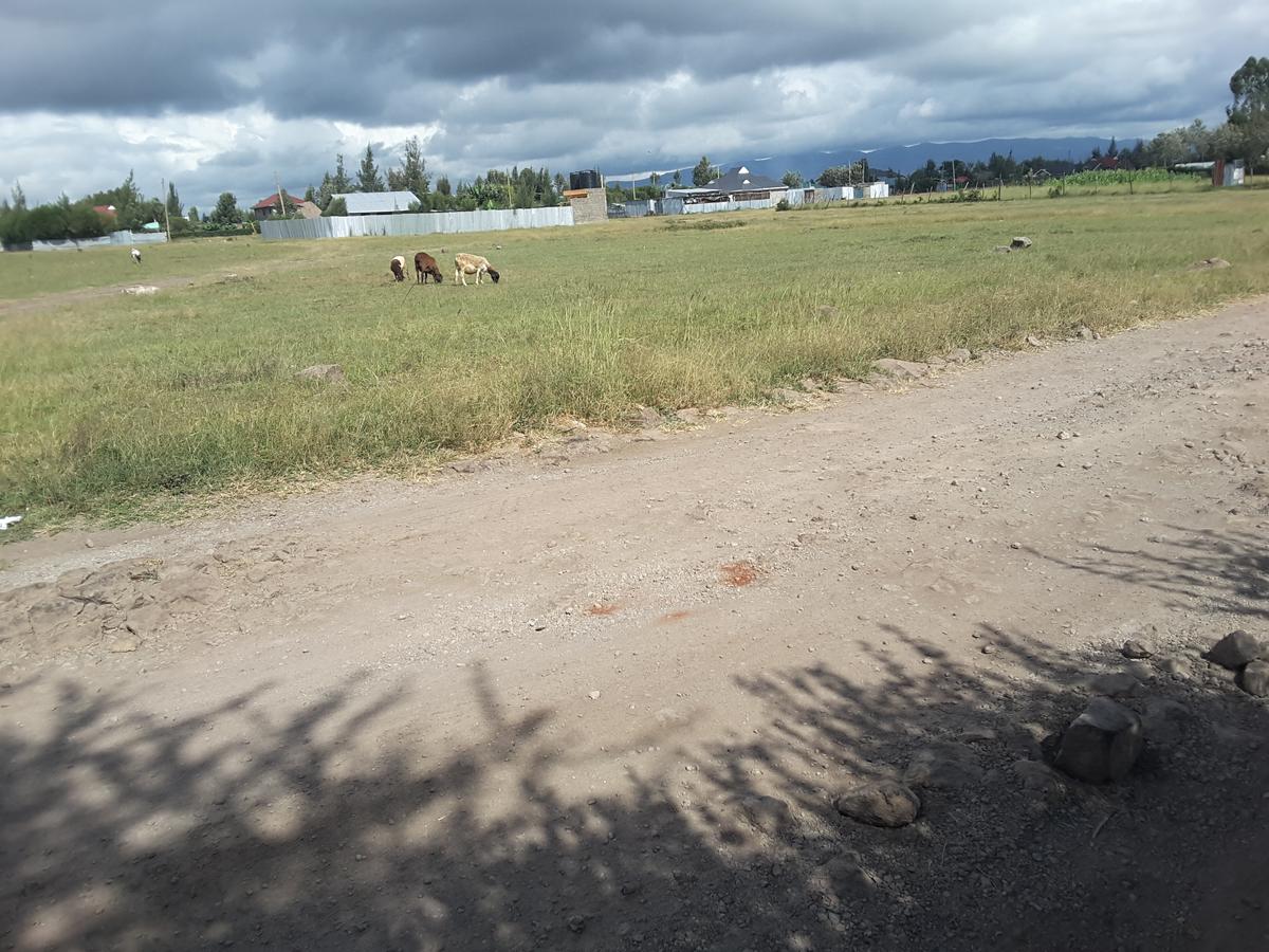 1 ac Residential Land in Ongata Rongai - 3