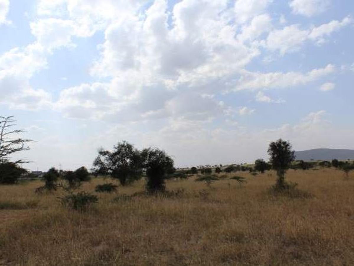 12,141 m² Commercial Land at Maanzoni Conservancy - 3