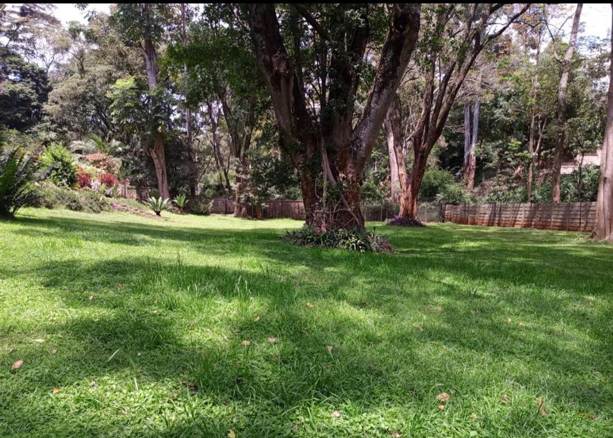 4 Bed House with En Suite in Muthaiga - 6