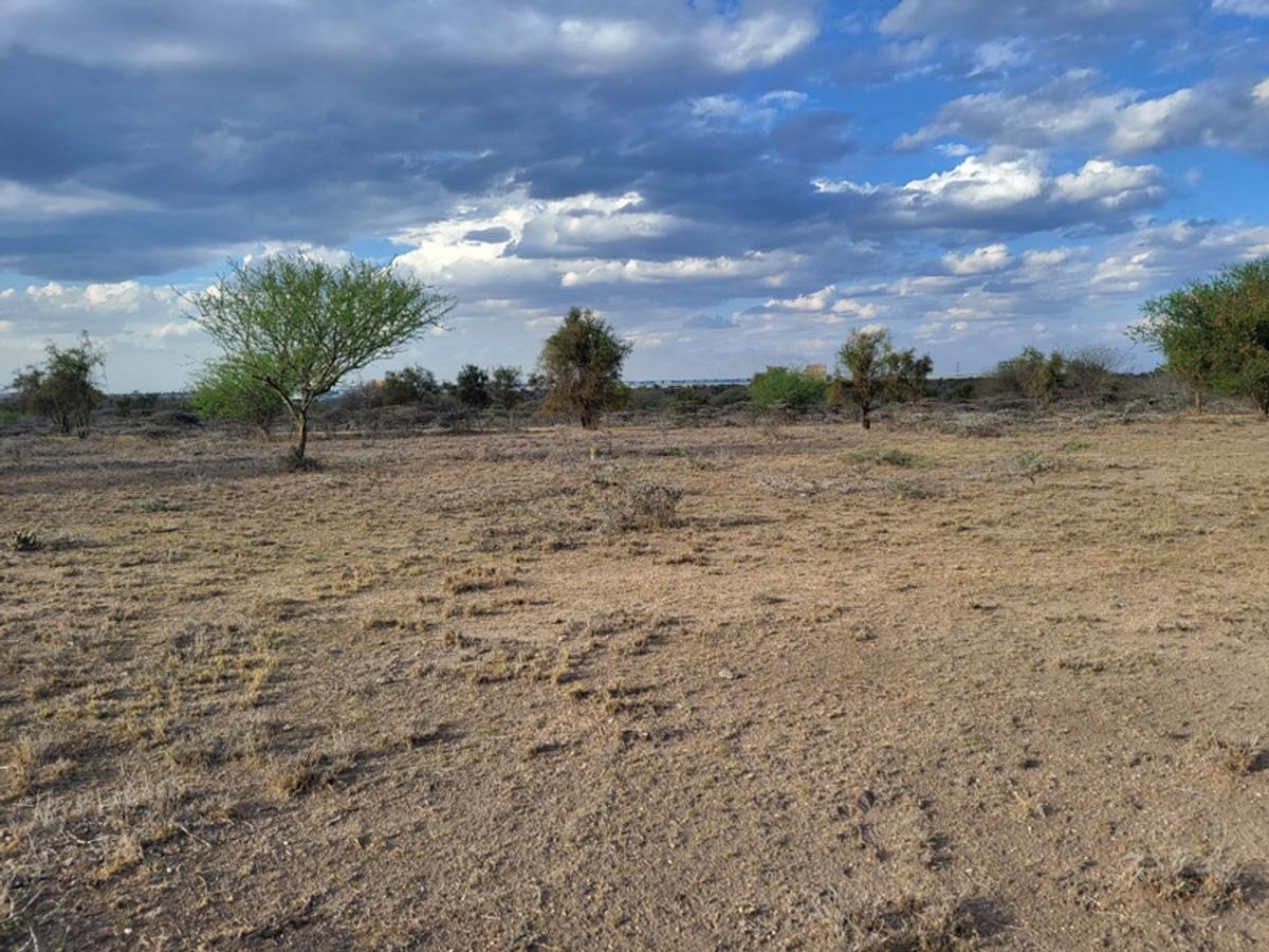 Land in Kajiado - 4