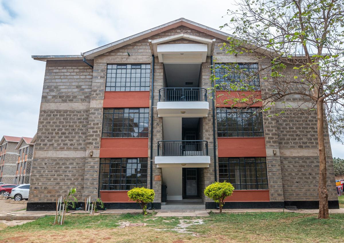 3 Bed Apartment with En Suite in Thika - 13