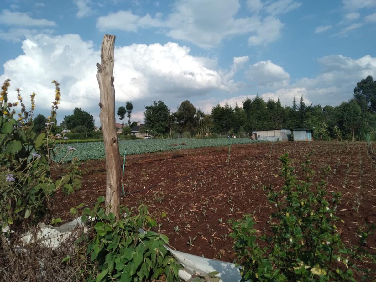 0.5 ac Residential Land in Tigoni - 12