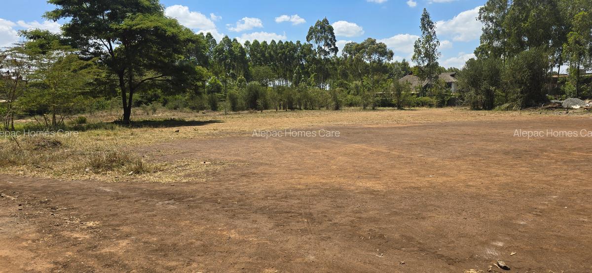 0.25 ac Land at Kamakis - 8