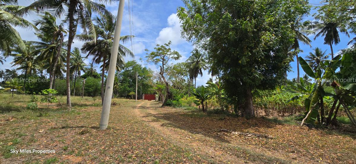 6 ac Land at Bomani - 6