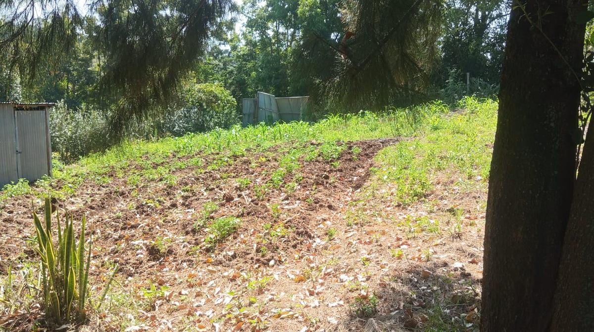 0.125 ac Land in Ngong - 4