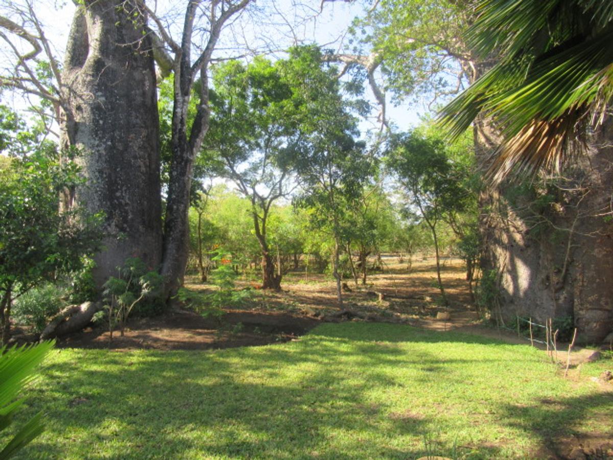 Land at Off Diani Beach Rd - 1