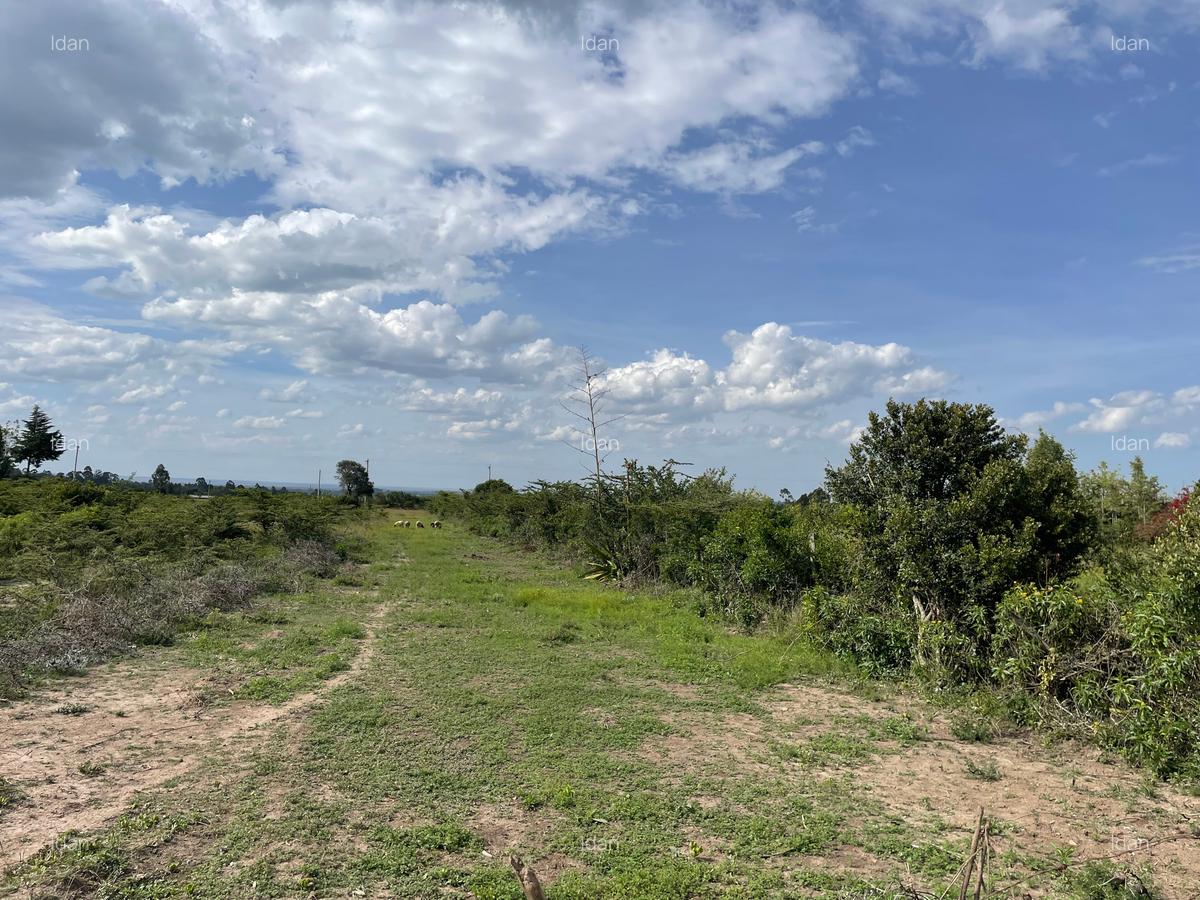 0.5 ac Land in Nanyuki - 5