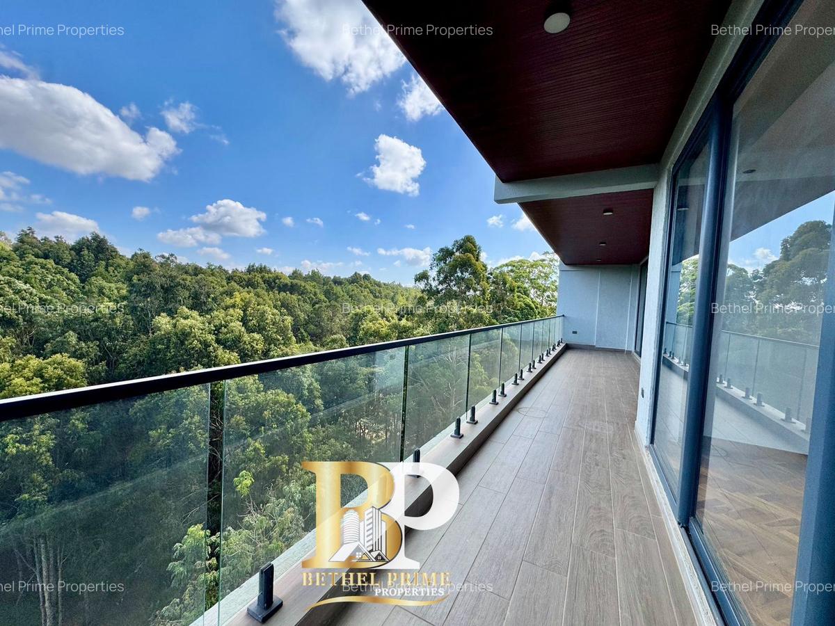 4 Bed Apartment with En Suite in Spring Valley - 1