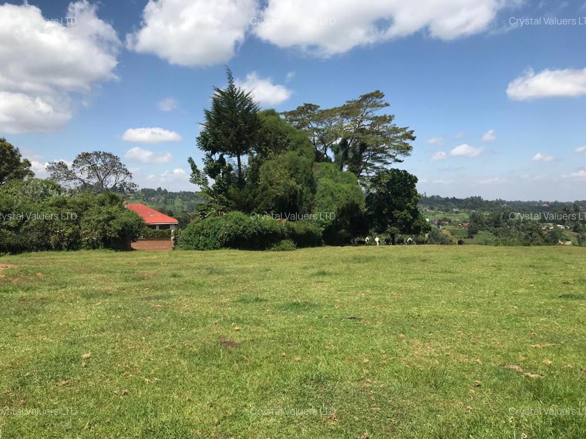 21 ac Land in Tigoni - 5