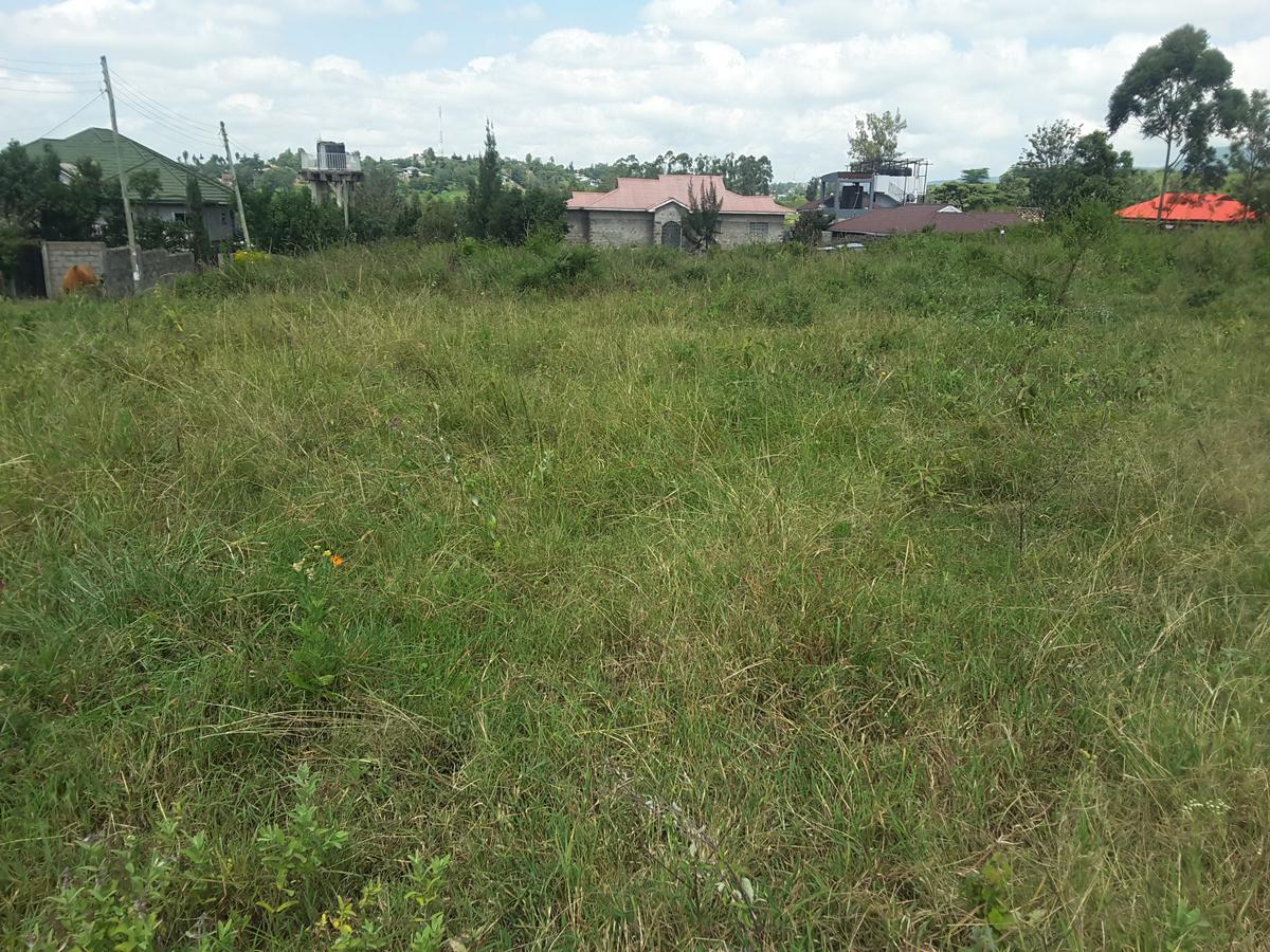 0.125 ac Residential Land in Ongata Rongai - 8