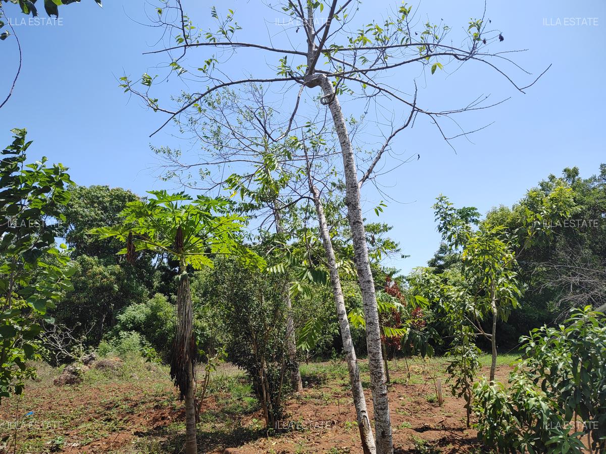 1,000 m² Residential Land at Mvindeni - 4