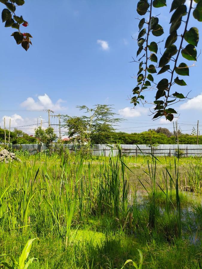 Residential Land at Karen - 11