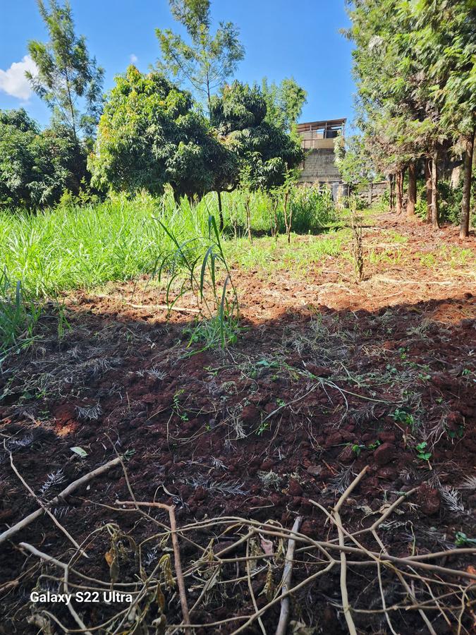Residential Land at Thome. - 6