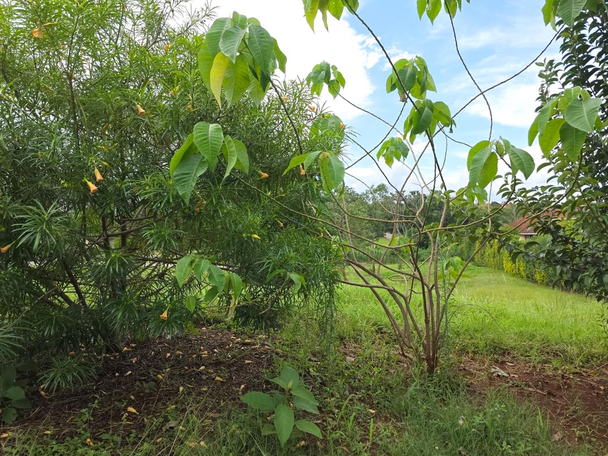 0.5 ac Land at Muthaiga North - 5