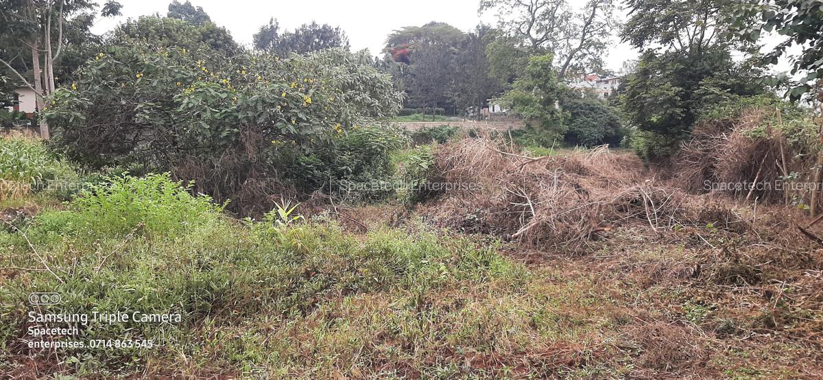 Commercial Property in Nyari - 8