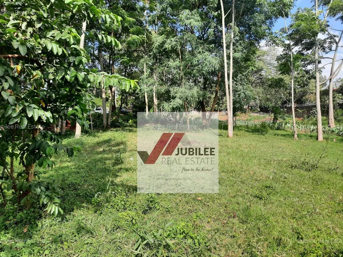1.1 ac Land in Lavington - 4