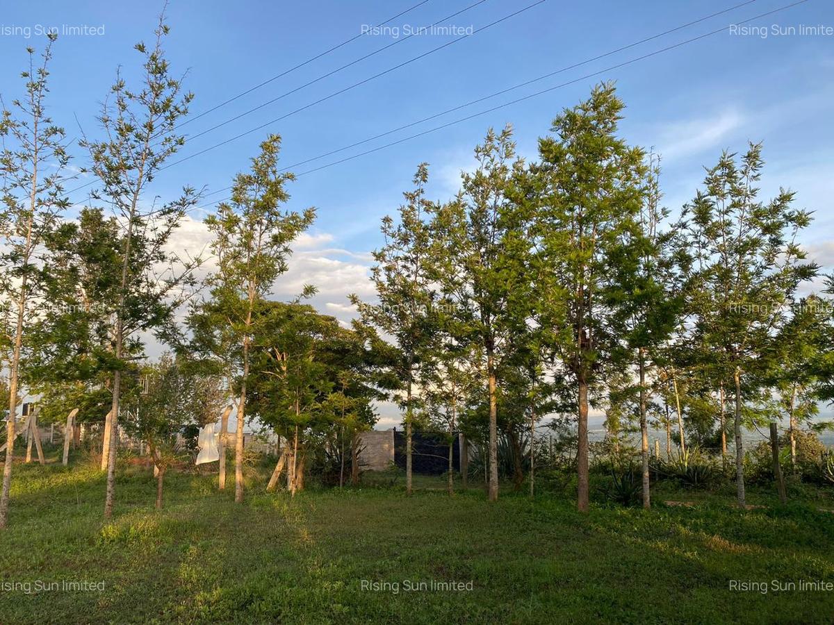 Land at Mua Hills - 9