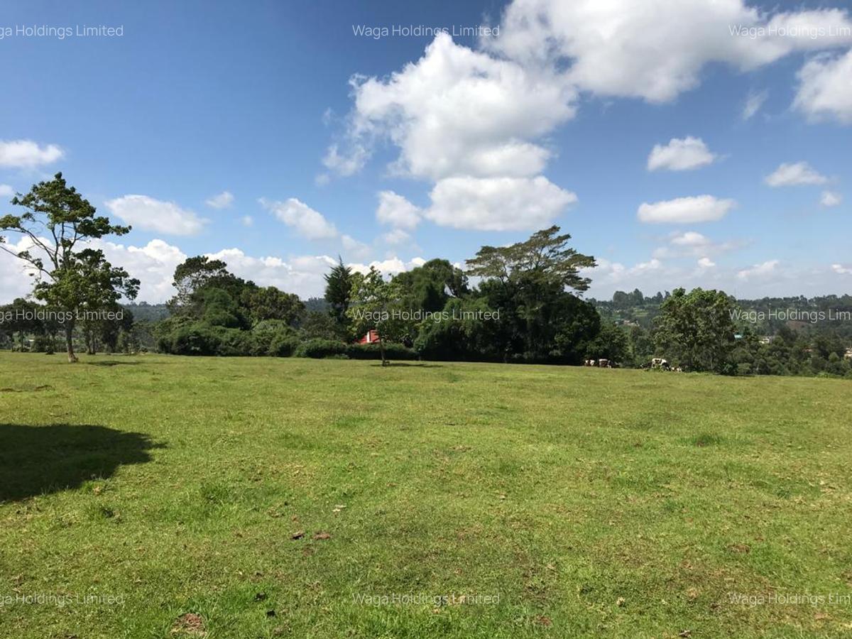 21 ac Land in Cianda - 2