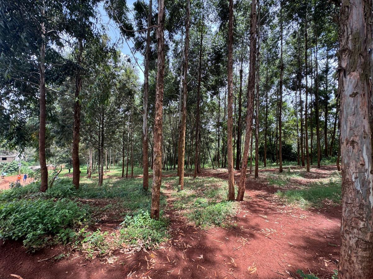 Land in Uthiru - 6