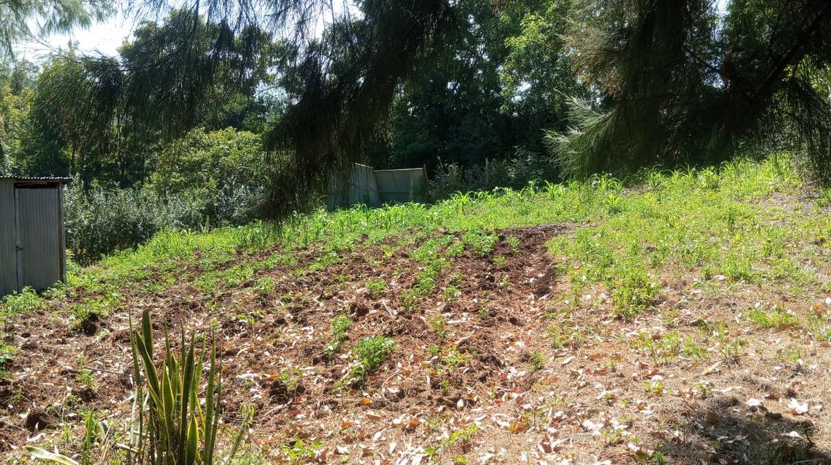 0.125 ac Land in Ngong - 1