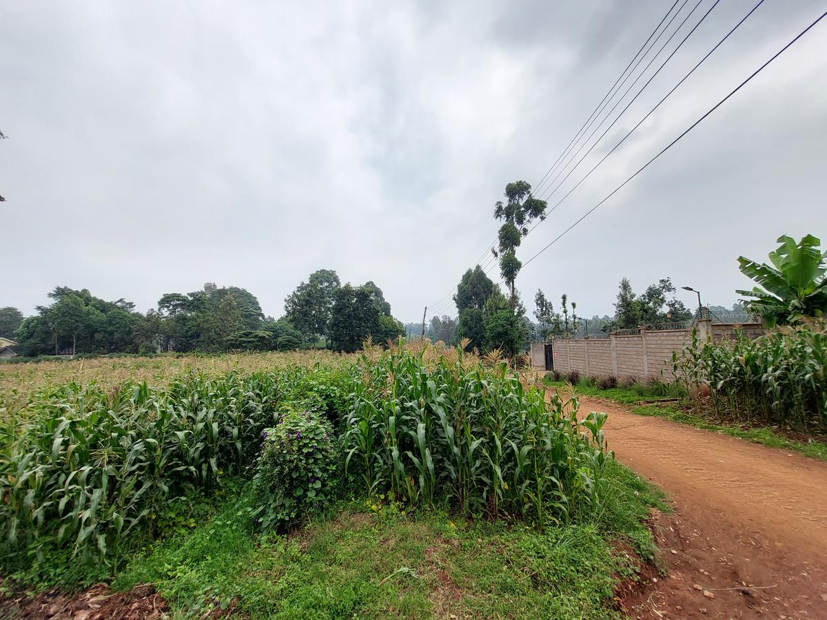 Residential Land at Kinanda Road - 1