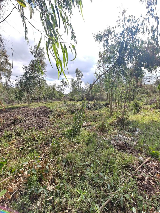 0.5 ac Land in Karen - 6