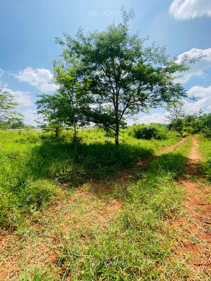 19 ac Land at Kenol-Makutano Highway - 12