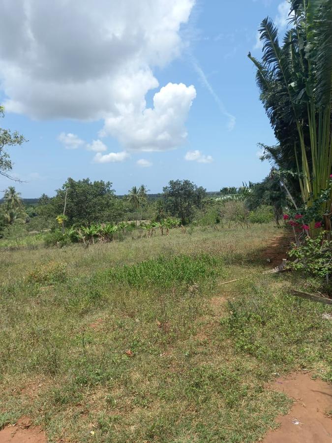 11 ac Residential Land at Ramisi - 3