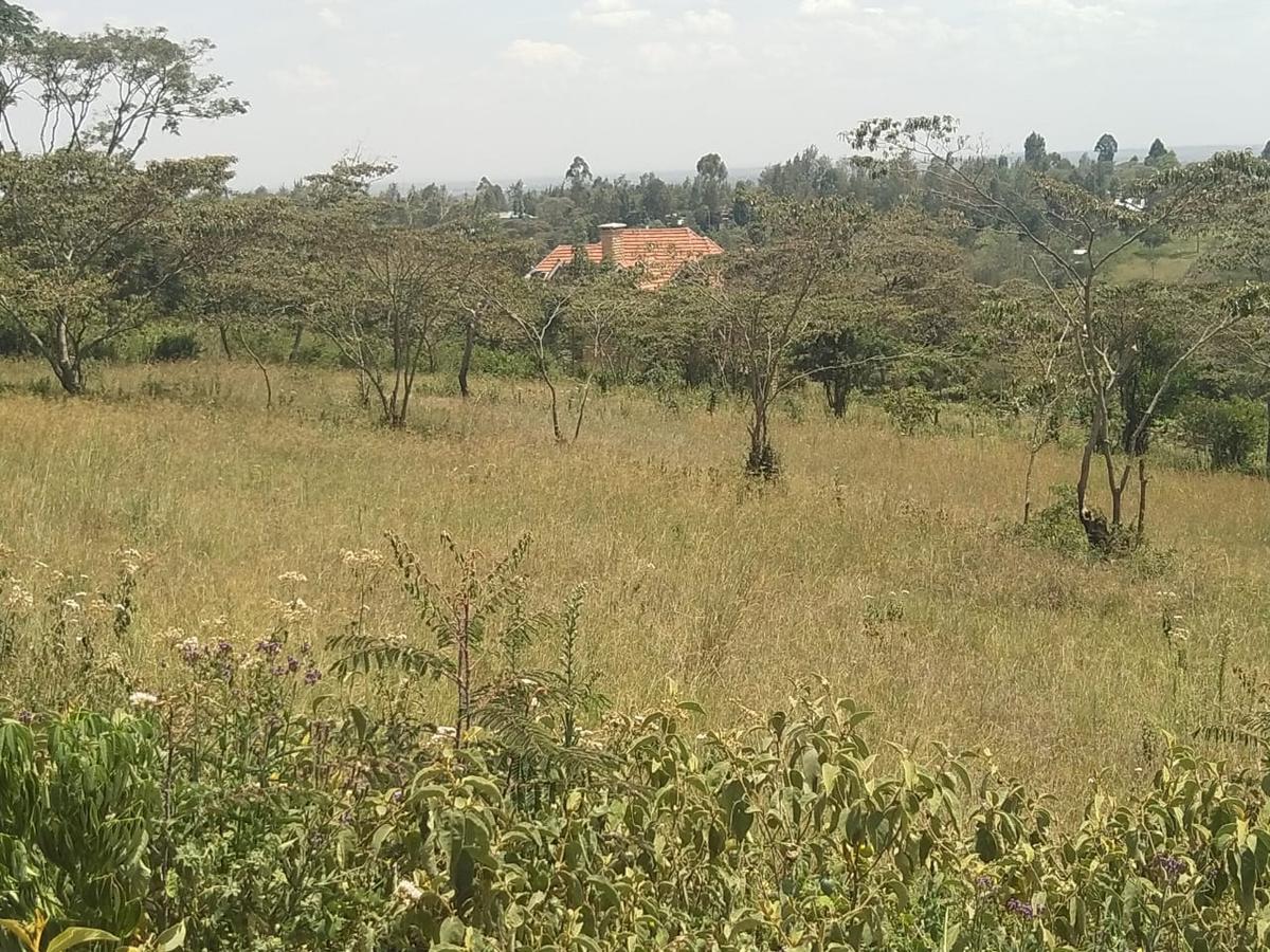 0.25 ac Residential Land in Ngong - 4