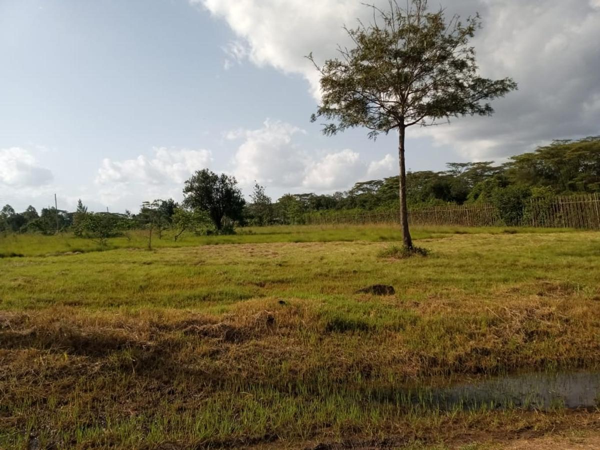 0.5 ac Residential Land at Bomas - 6