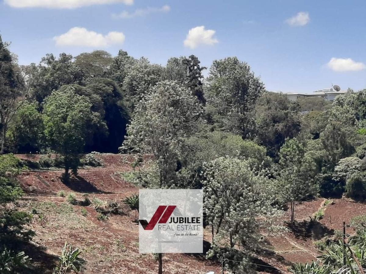 4.3 ac Land in Kitisuru - 1