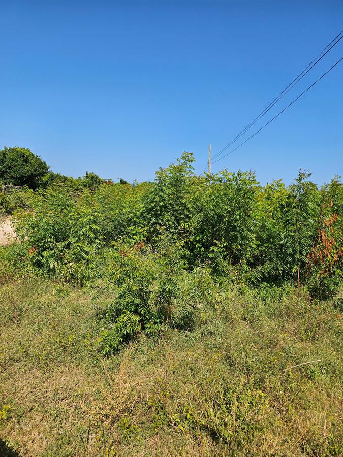 10,000 ft² Land at Shanzu - 5
