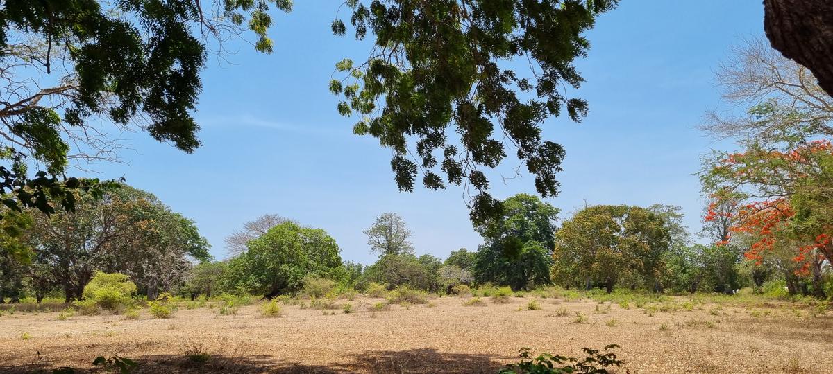 75 ac Land at Vipingo - 8