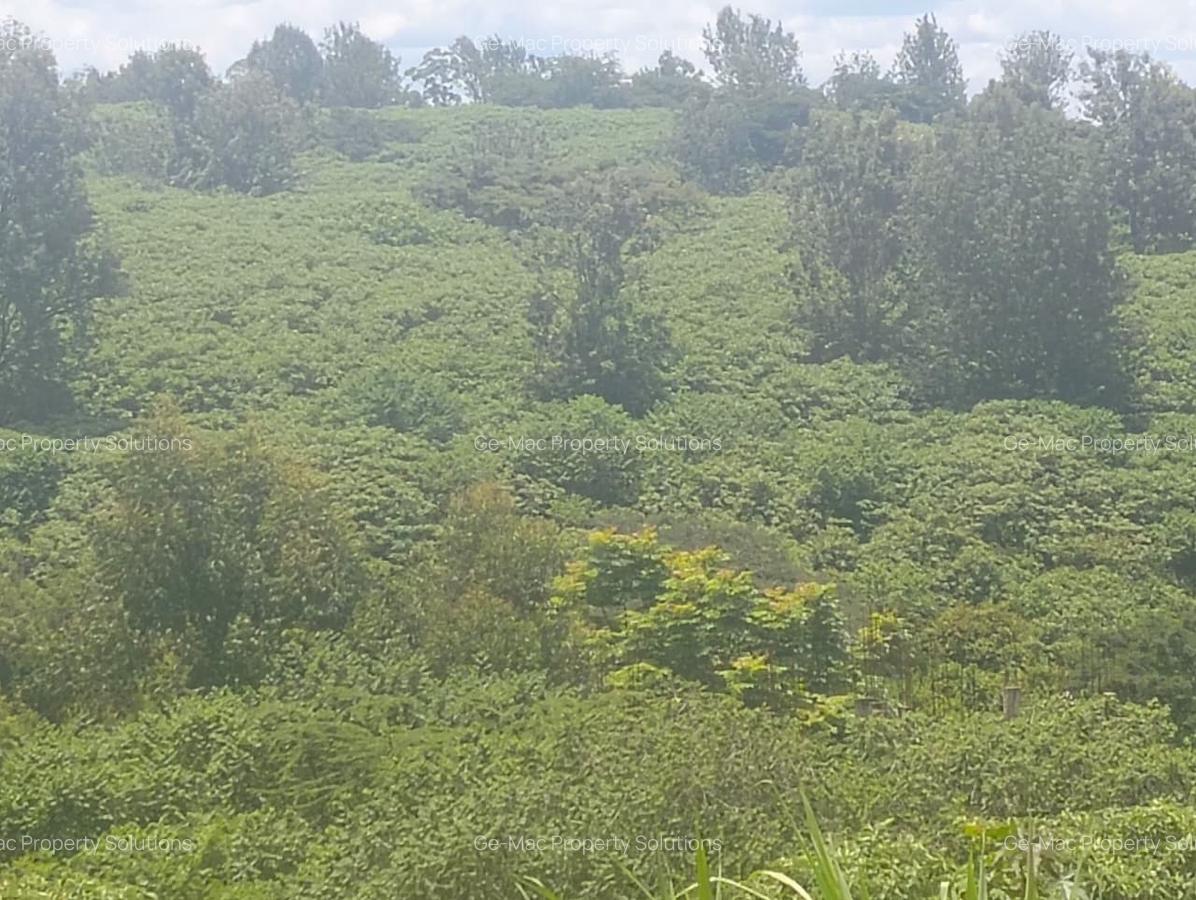 Land at Ruiru - 3