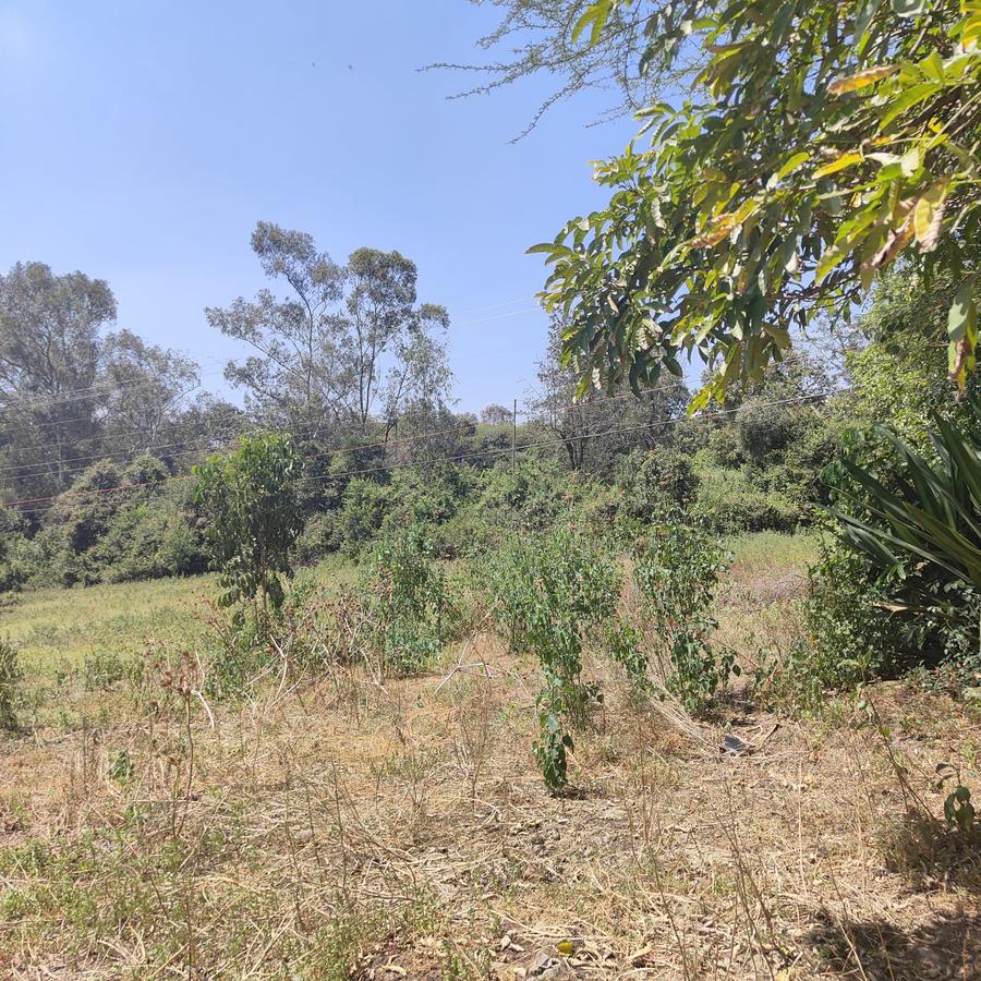 1 ac Land at Ndovu Road - 15