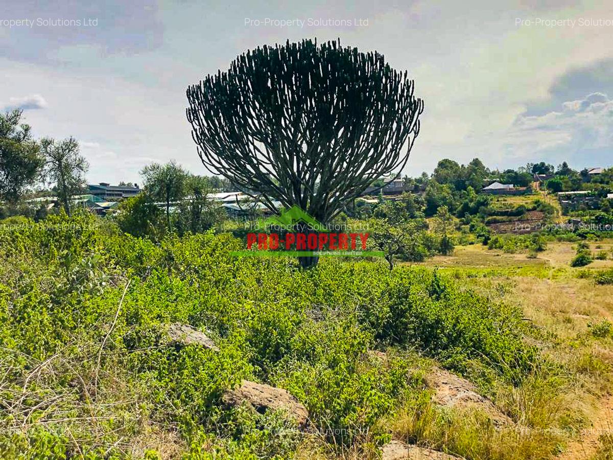 0.125 ac Land in Thika - 14