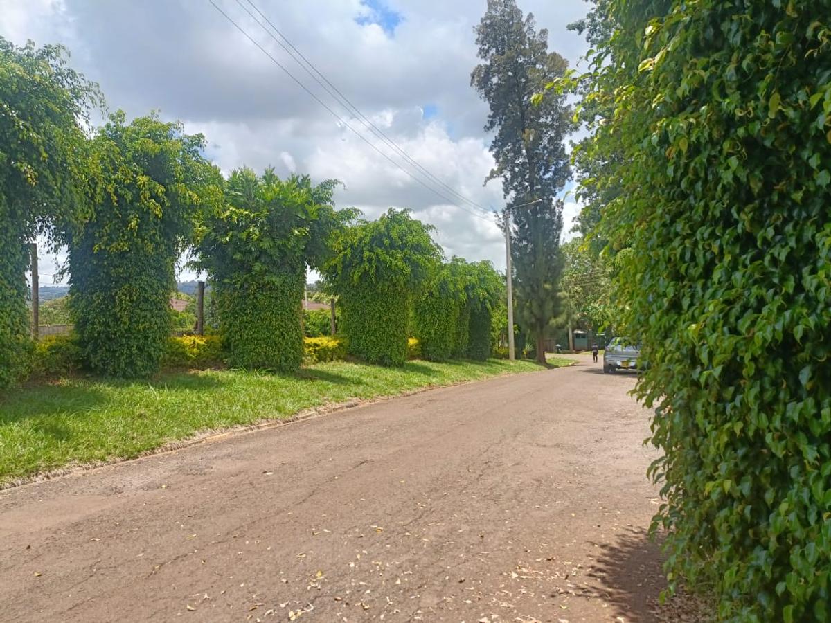 0.5 ac land in runda