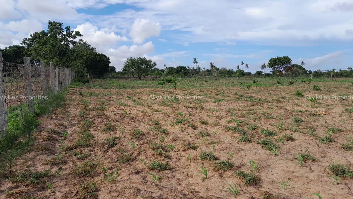 13 ac Land at Majaoni - 4